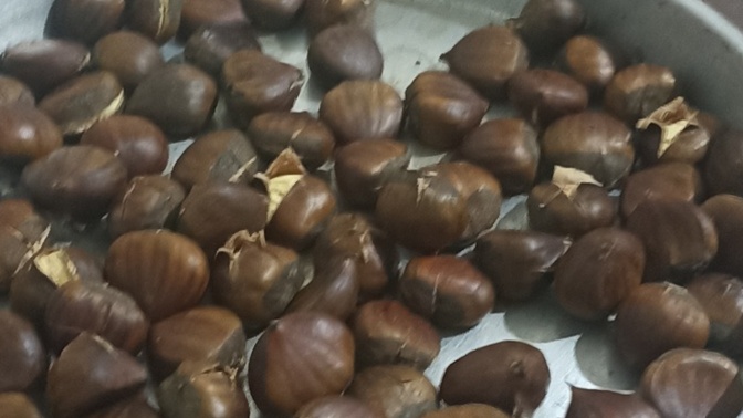 Kestane severmisiniz? Yermisiniz?
