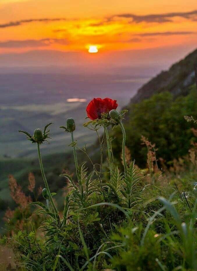 Sizin orada hava nasıl?