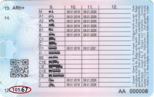 Hangi sürücü belgelerine sahipsiniz?