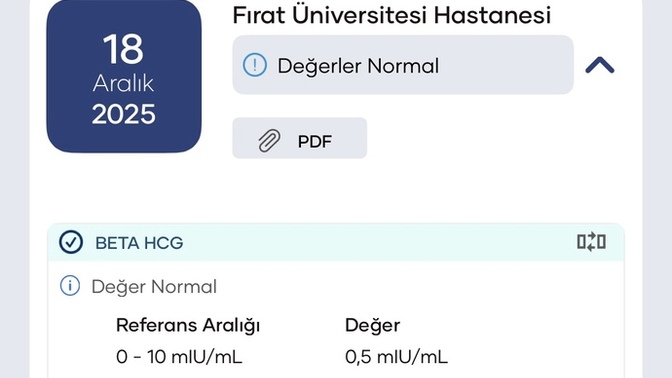 Hamilelik var mı bakar mısınız?