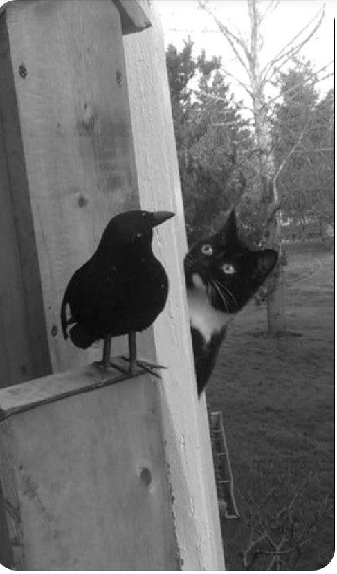 Yapmam dediğiniz neyi yaptınız?