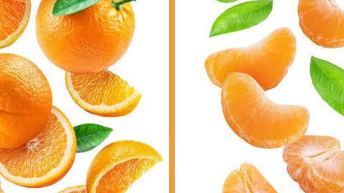 Portakal mı mandalina mı?