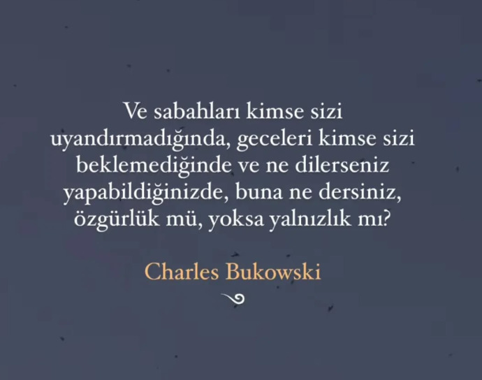 Her şeyi sorgusuz sualsiz yapabilmek özgürlük müdür, yalnızlık mıdır?