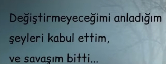 Değişmeyen şeyleri değiştirmek için inadına savaşmak mı? Yoksa bunu kabullenip önüne bakmak mı?