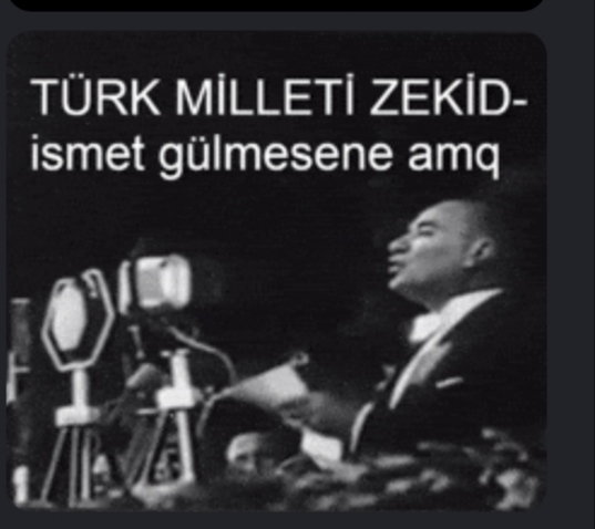 Bizim millet niye bu kadar zeka seviyesi düşük saçma saçma ergenleri tiktokculari fenomen ediyorlar?
