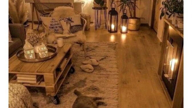 Evinizde bu yıl sıcak tonlara mı yer vereceksiniz soğuk tonlara mı?