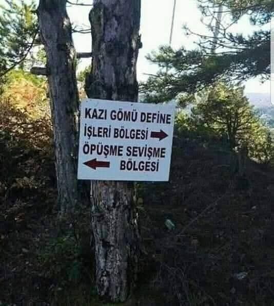 💞Aşk mı 💲para mı?