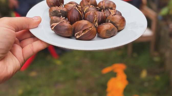 Kestaneler 🌰 yenilip ateşler yakıldı mı😋☺️?