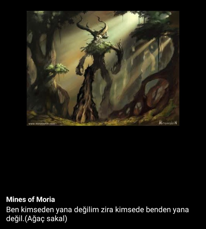 Taraftarı olduğunuz takım dışında yerli farklı bir takımı tutuyor olsaydınız hangisi olurdu?