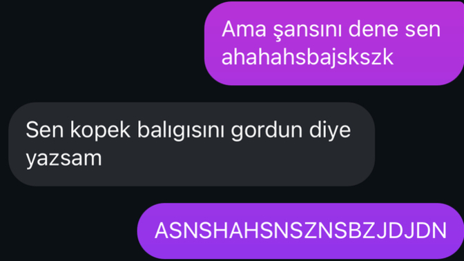 Hoşlandığınız kişiye ilk mesajda ne yazarsınız?