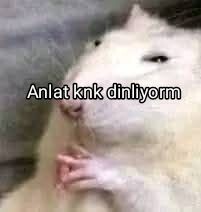 Şuana kadar En çok bozduğunuz şey ne?