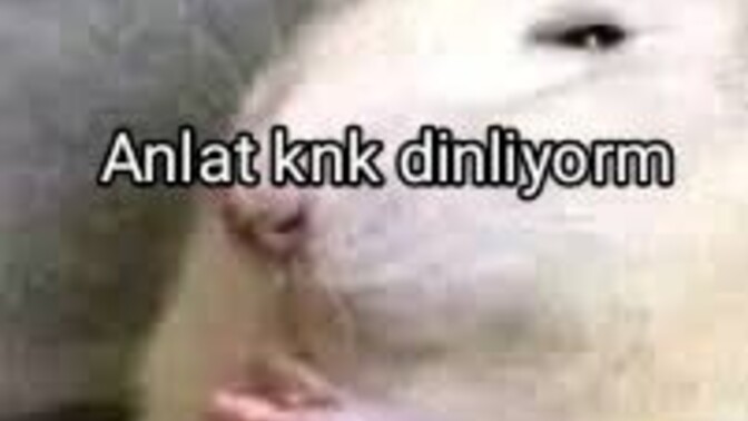Şuana kadar En çok bozduğunuz şey ne?