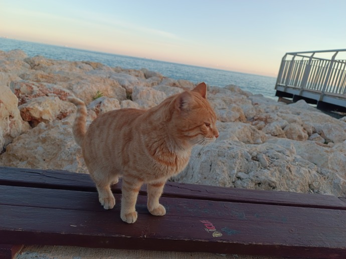 Yeni yılda beklentileriniz nelerdir?
