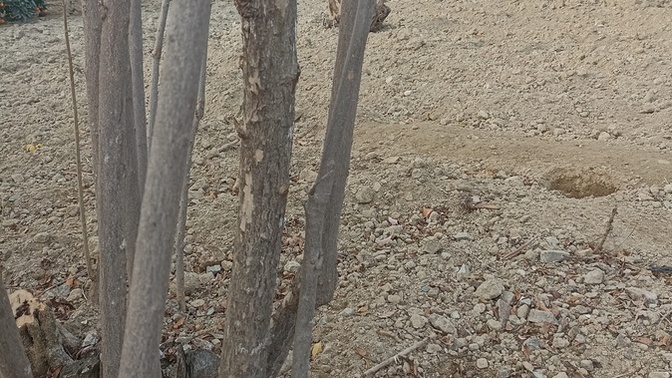 Haftasonunuz nasıl geçiyor desek neler yapıyorsunuz?