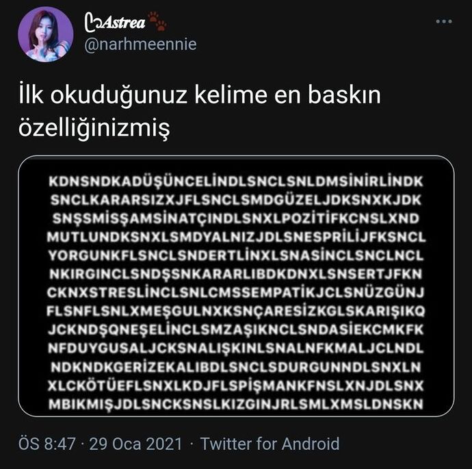 En baskın özelliğiniz ne?