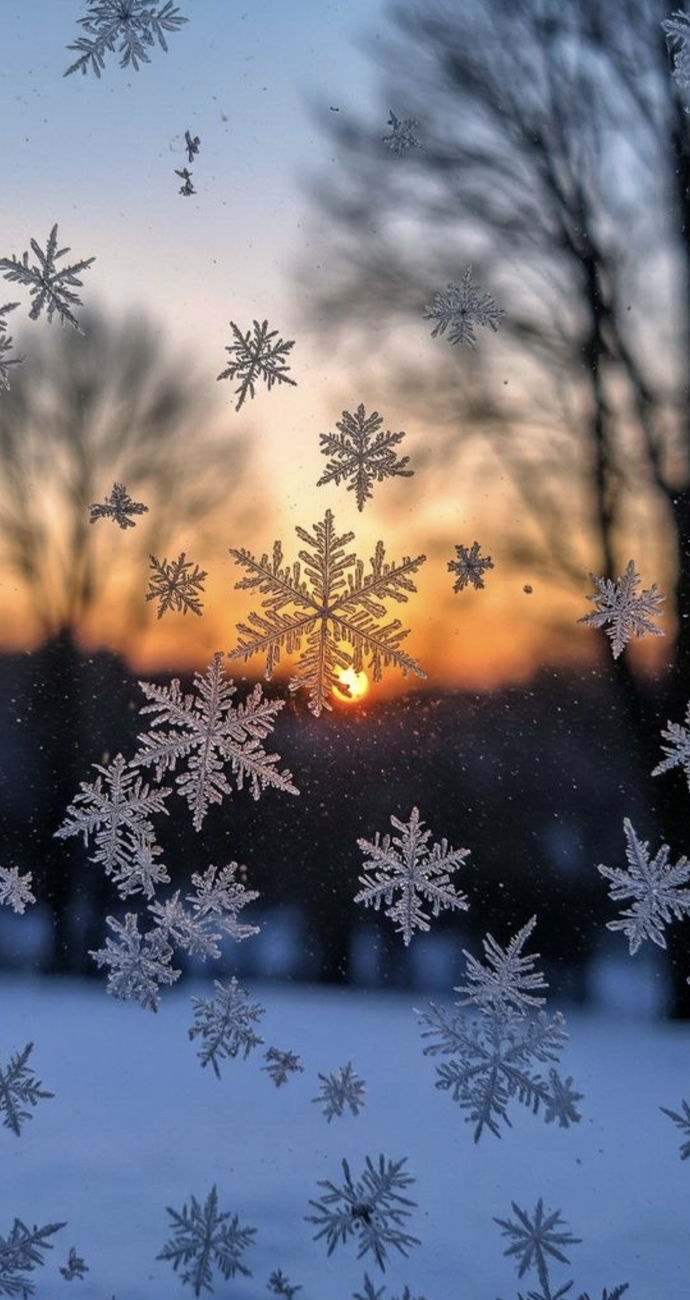 ❄️