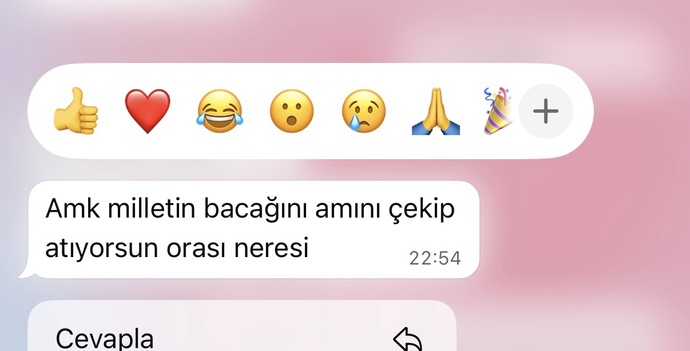 Sevgilim bana çok iğrenççç bir kelime kullandı?