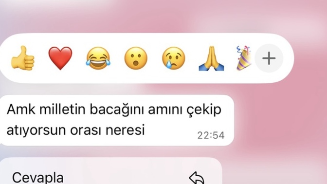 Sevgilim bana çok iğrenççç bir kelime kullandı?