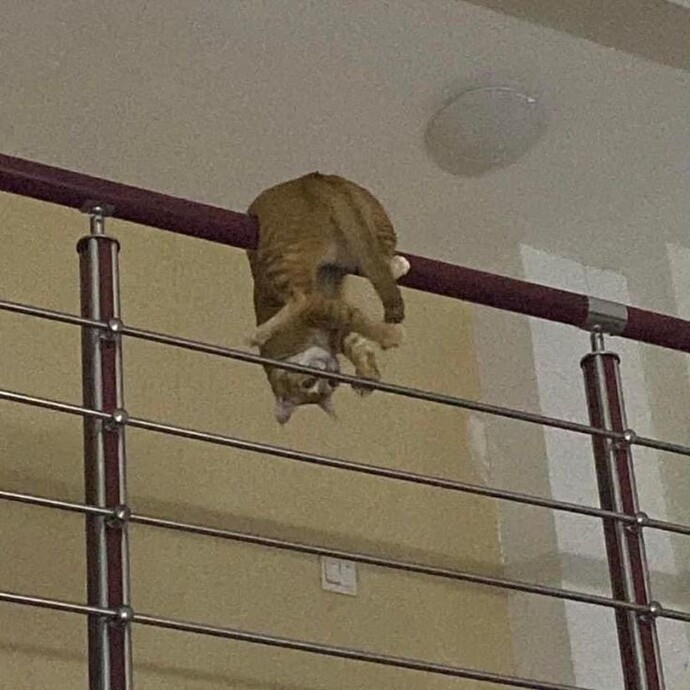 Hangi konularda artık hiç bir şey duymak istemiyorsunuz?