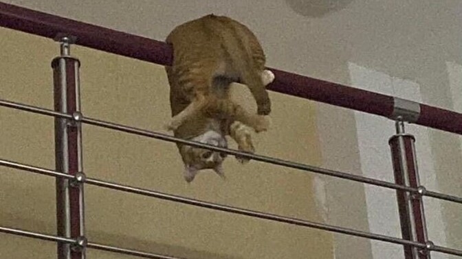Hangi konularda artık hiç bir şey duymak istemiyorsunuz?