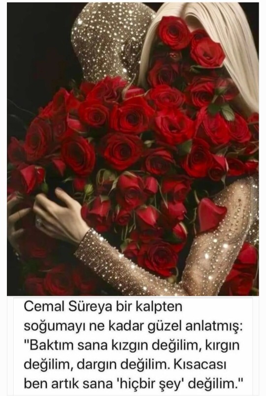 Bir insana karşı kalbinizin soğumasına sebep olan nedenler nelerdir?