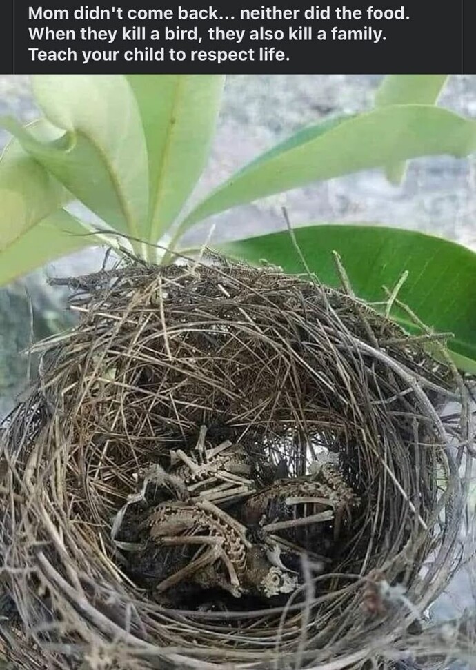 Beklemek sabır mıdır?