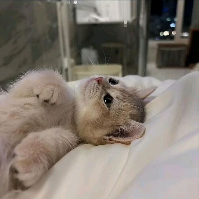 İyi geceler demek istediğiniz biri var mı?