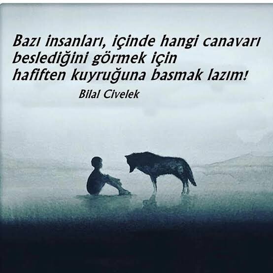 İnsanları deniyor musunuz?