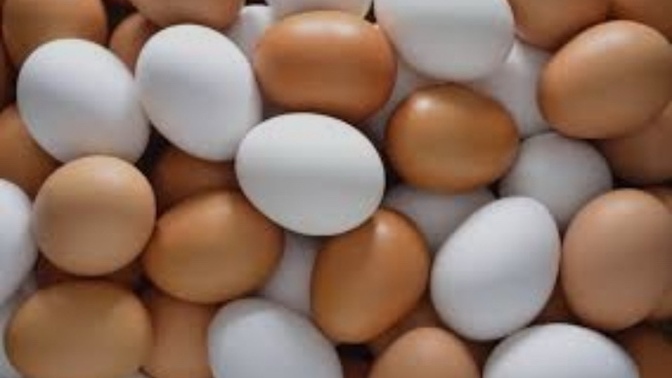 Günaydın Yumurta yemeği nasıl tercih edersiniz?