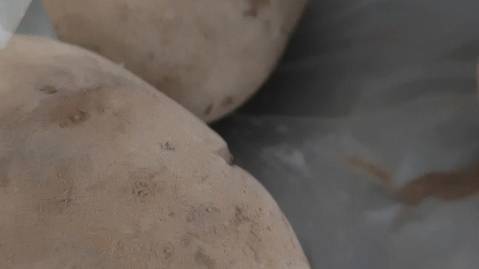 En son ne zaman patates kızartması yedin?
