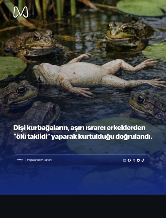 Israrcı insanlara karşı tavrınız nasıl oluyor?