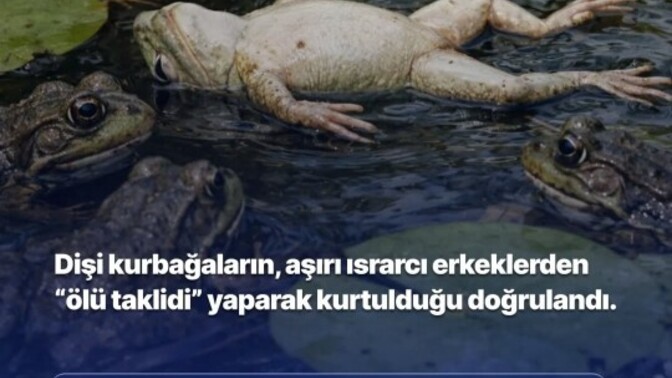 Israrcı insanlara karşı tavrınız nasıl oluyor?