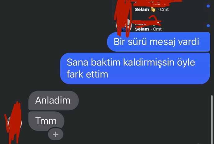 Eski sevgilim hiç kıskanmamış mi ya?