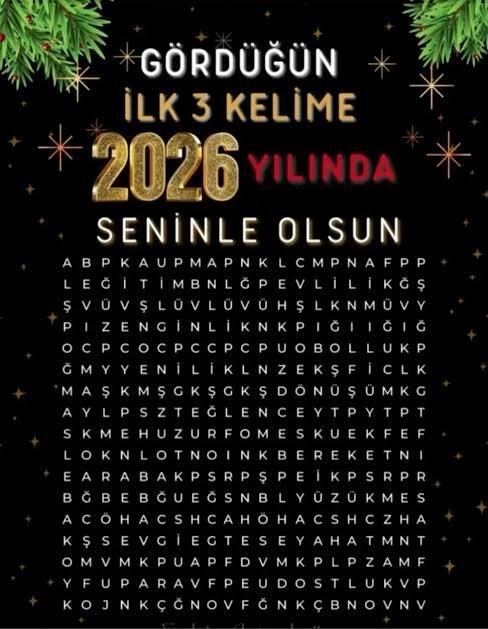 2026 da sizi neler bekliyor gördünüz ilk 3 kelimeyi yazar mısınız?