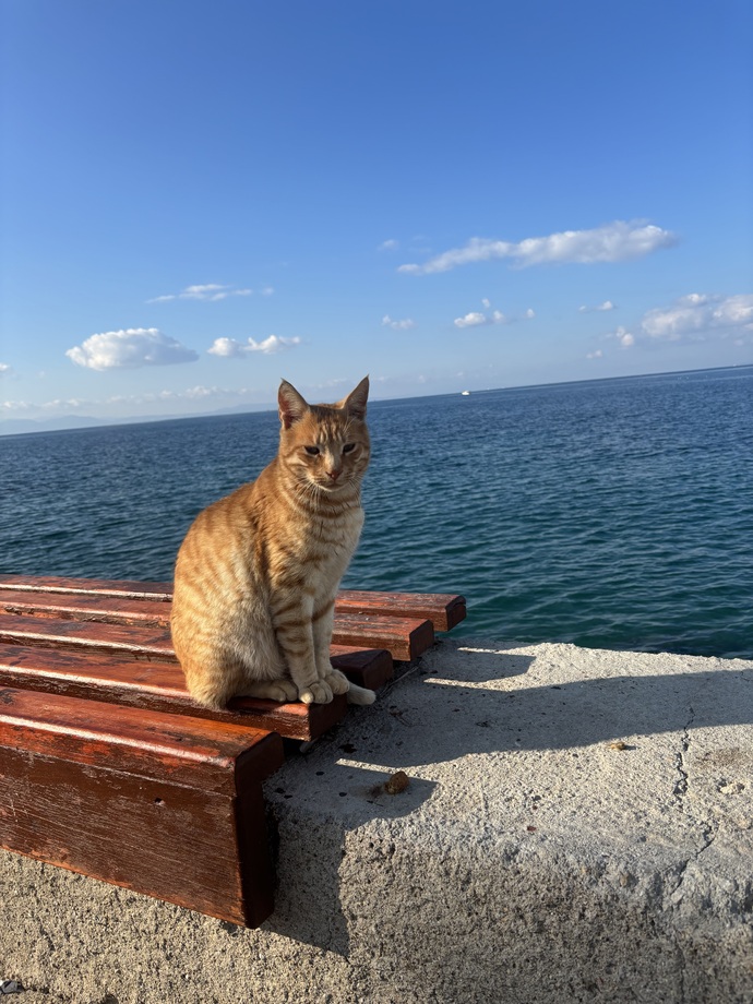 Bana zor olmayan bir soru sorar mısınız?