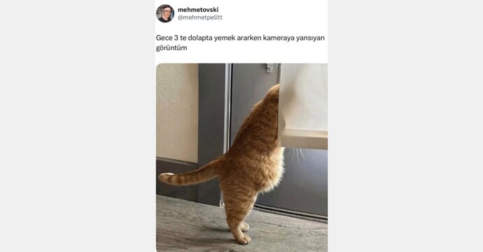 Gece mutfakta farelik yapar mısın😋?