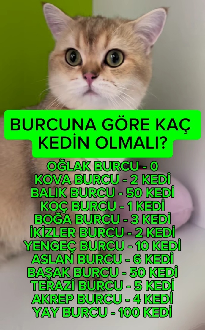 Burcunuza göre kaç kediniz olmalıydı?