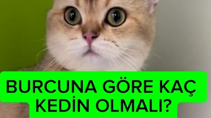 Burcunuza göre kaç kediniz olmalıydı?