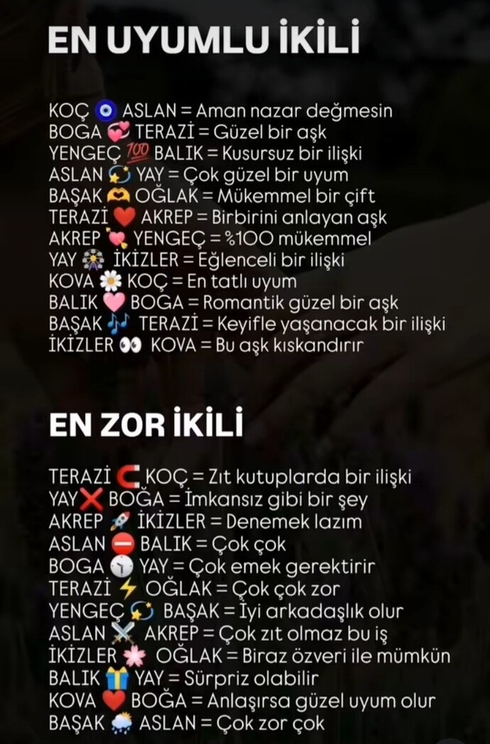 Burçlarda en uyumlu ikili hangi burçmuş?