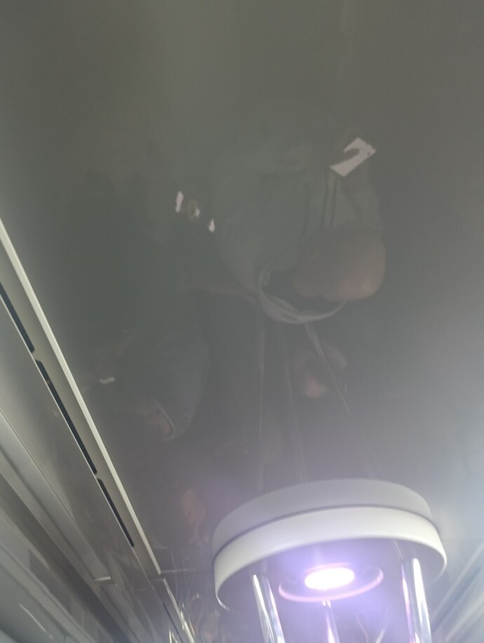 Yolda iken insanların telefonuna bakıyor musunuz?