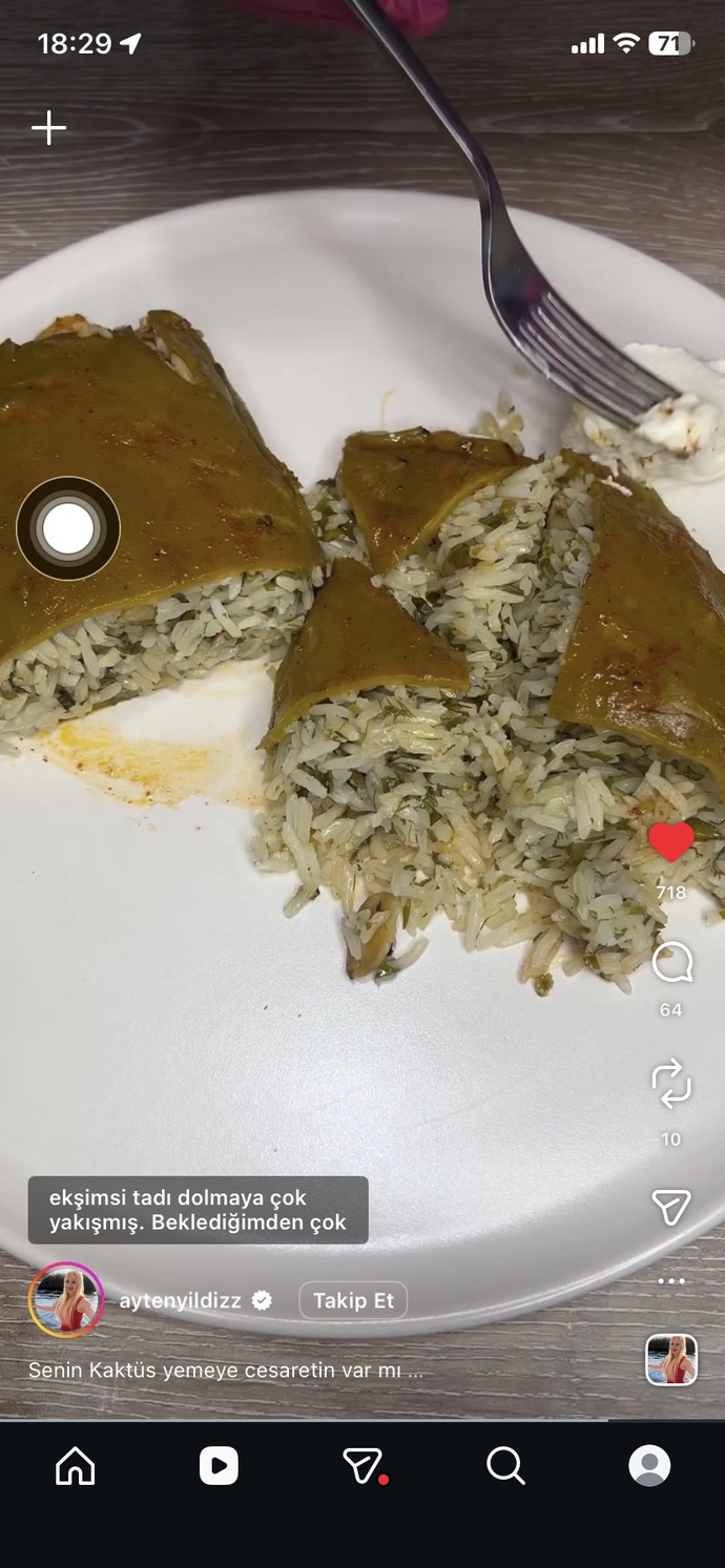 Hiç kaktüs dolması yediniz mi?