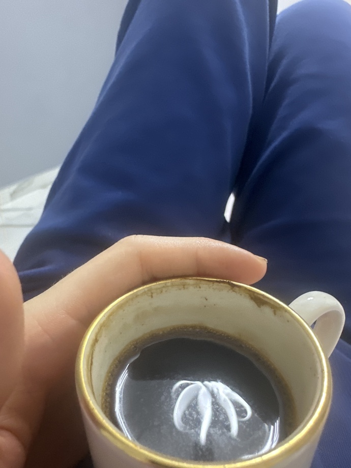 Yanlışlıkla kahvemin içine düşen sineği yuttum😭bişey olur mı?