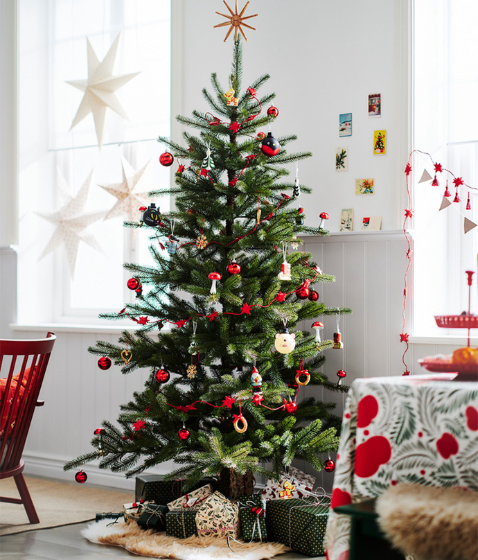 Yılbaşı kutlaması yapacak mısın? 🎄 ?