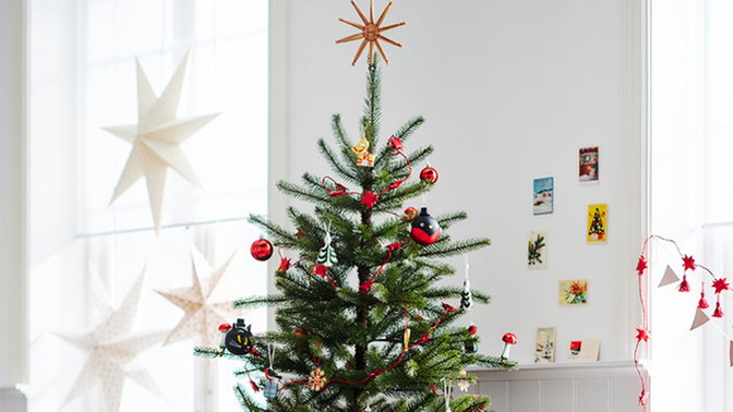 Yılbaşı kutlaması yapacak mısın? 🎄 ?