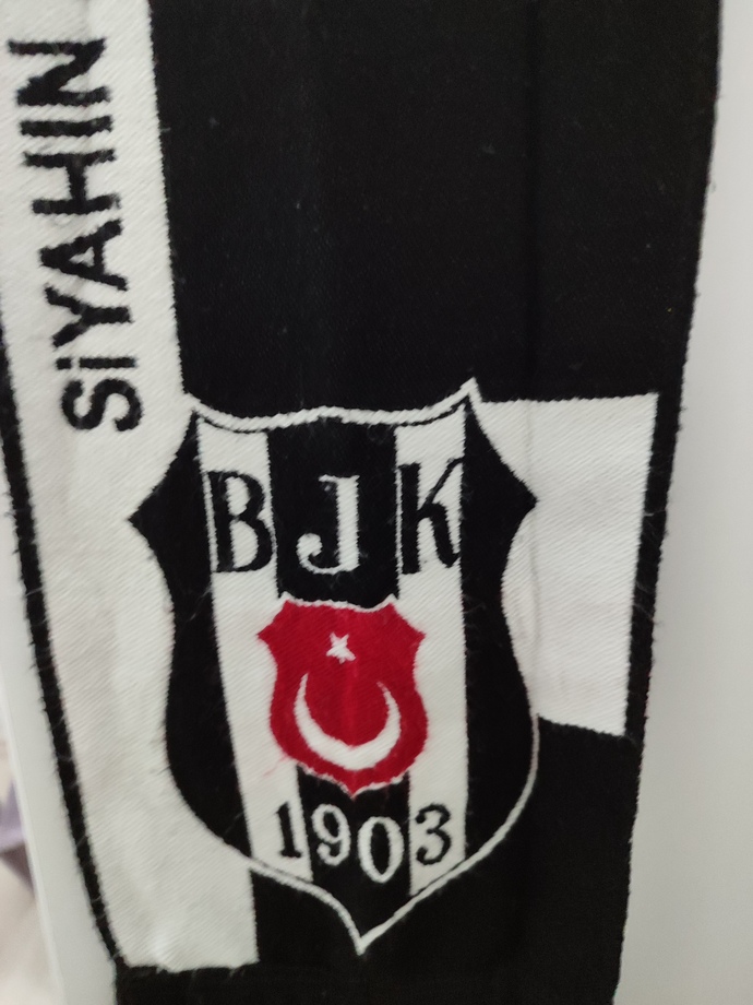 Takımınizi destekliyor musunuz?