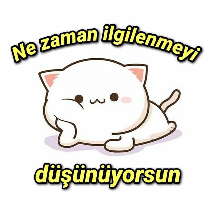 Sizce bu adam arkadaşım hakkında ne hissediyor?