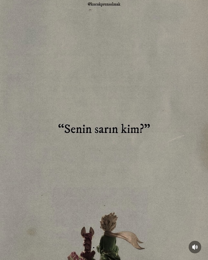 Sizin sarı kişiniz var mı?