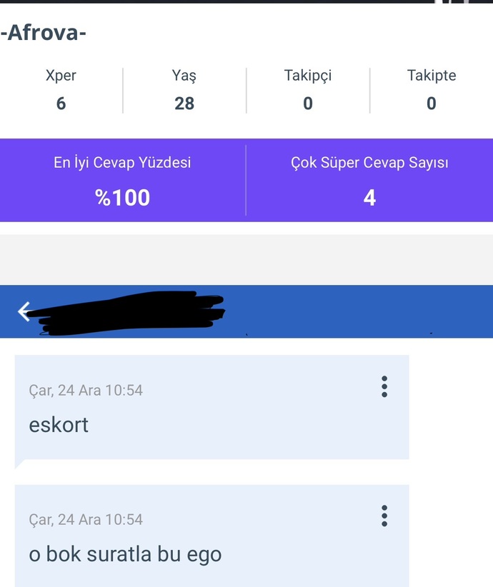 Size cevap vermeyen kişilere hakaret ediyor musunuz?