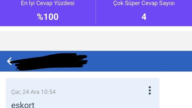 Size cevap vermeyen kişilere hakaret ediyor musunuz?