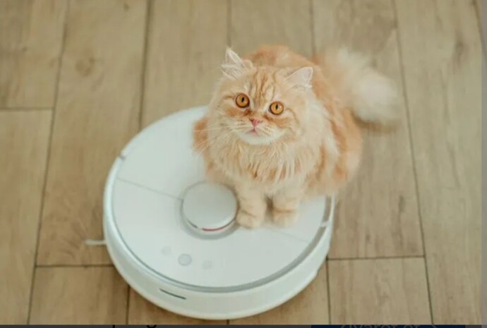 Robot süpürgene 🤖 evcil hayvanın da eşlik ediyor mu?
